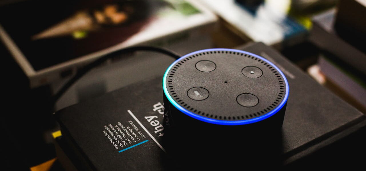 Voice Assistants and Home Networks