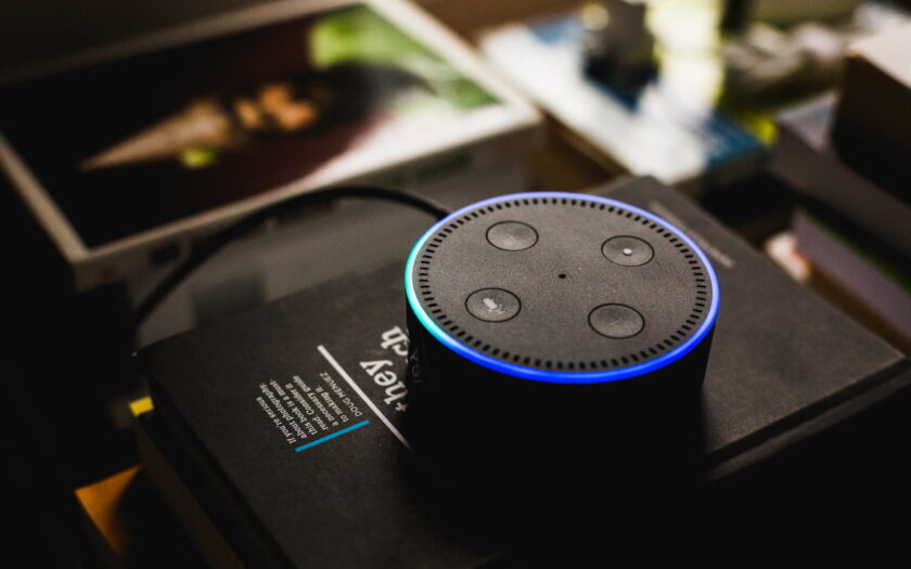Voice Assistants and Home Networks