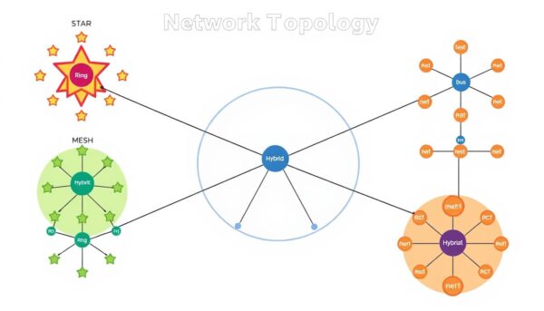 Common Network Topologies Explained